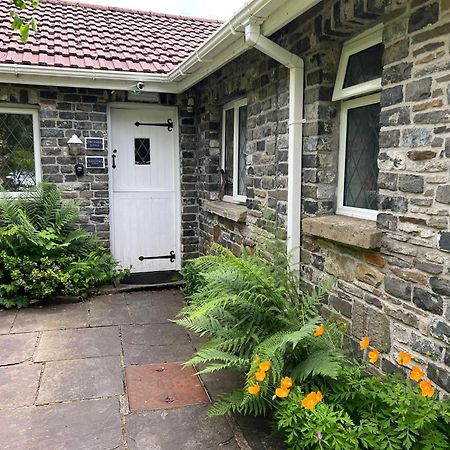 Cwmbach Guest House Neath Eksteriør billede