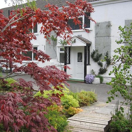 Cwmbach Guest House Neath Eksteriør billede