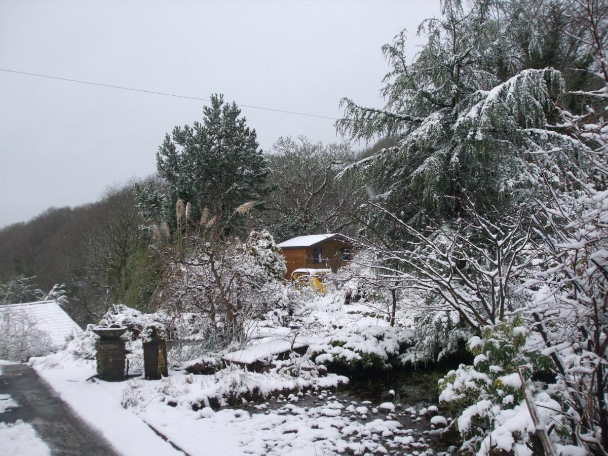 Cwmbach Guest House Neath Eksteriør billede