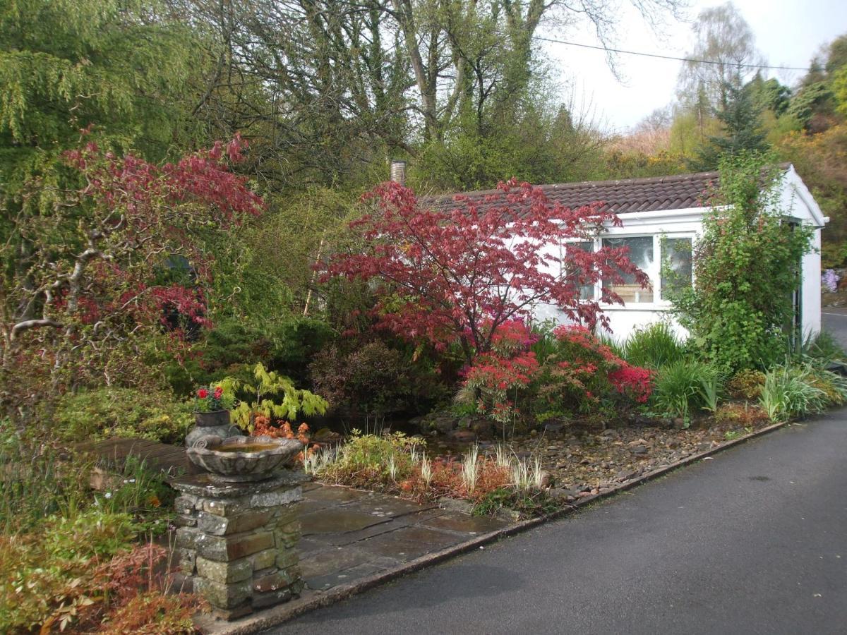 Cwmbach Guest House Neath Eksteriør billede
