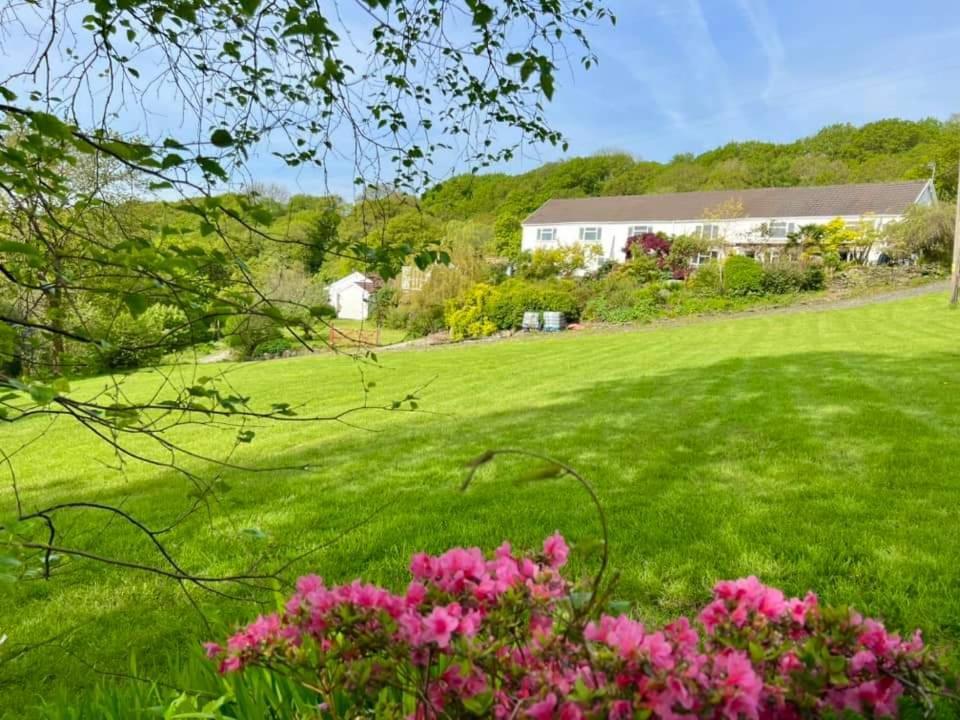 Cwmbach Guest House Neath Værelse billede