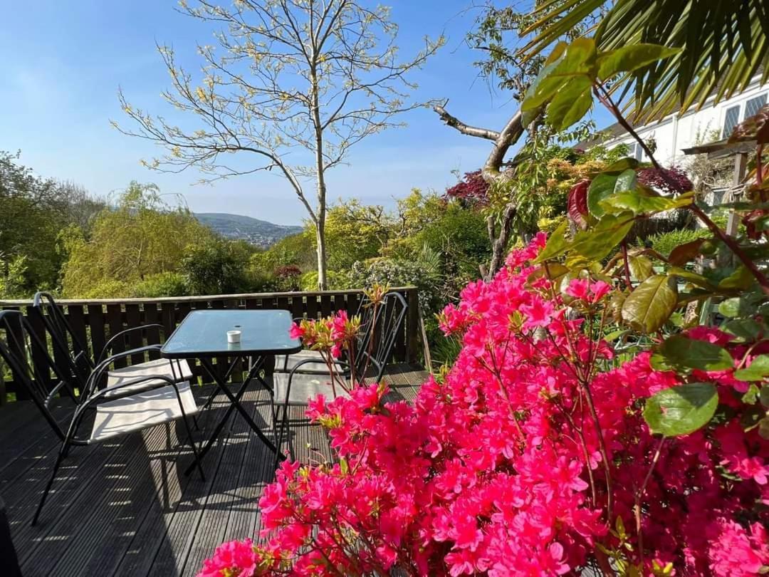 Cwmbach Guest House Neath Værelse billede