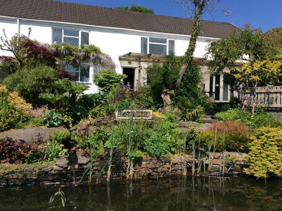 Cwmbach Guest House Neath Værelse billede