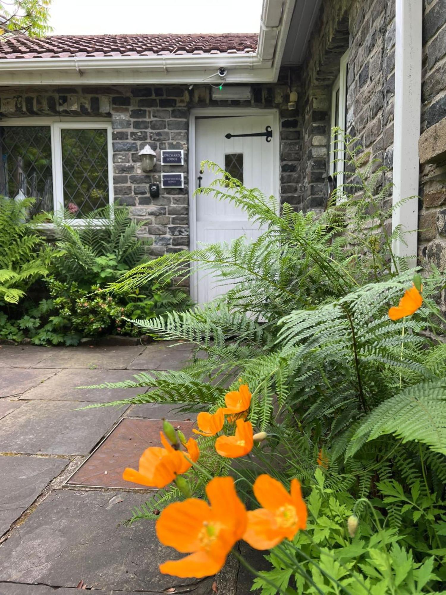 Cwmbach Guest House Neath Eksteriør billede