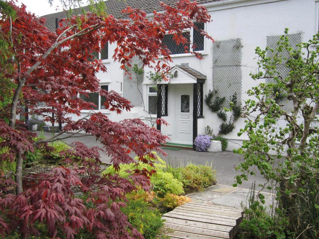 Cwmbach Guest House Neath Eksteriør billede