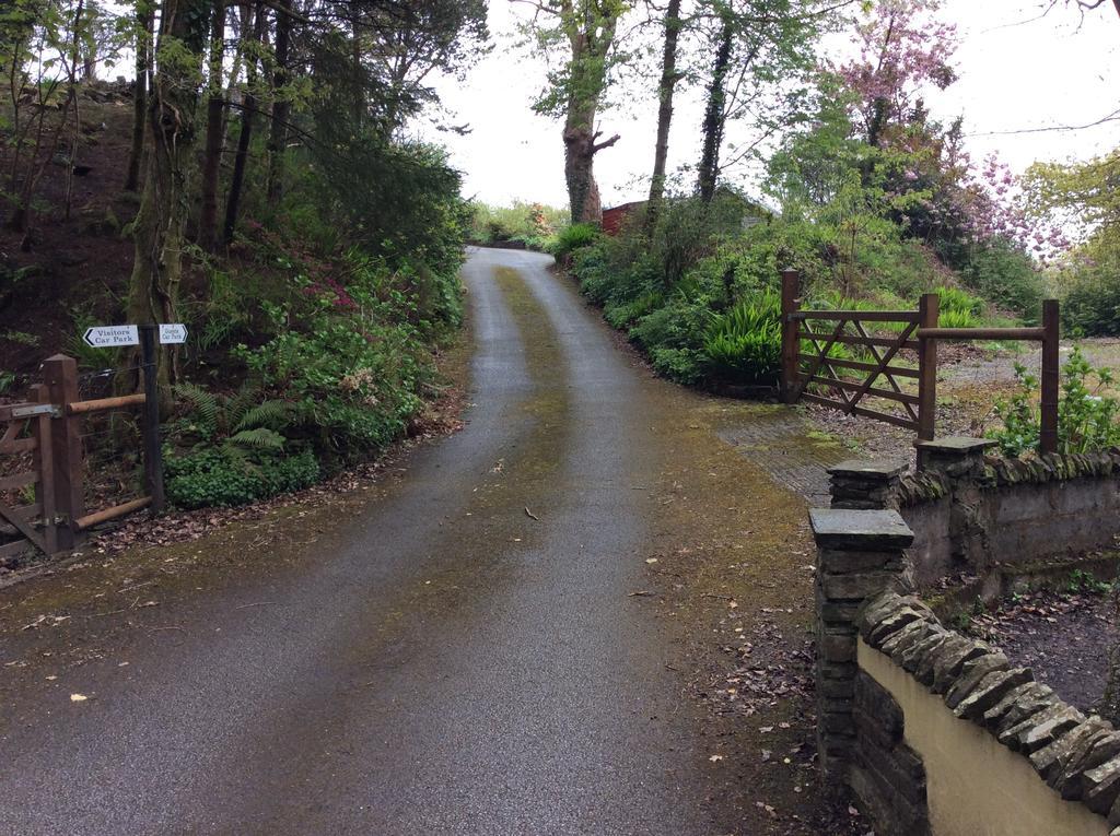 Cwmbach Guest House Neath Eksteriør billede